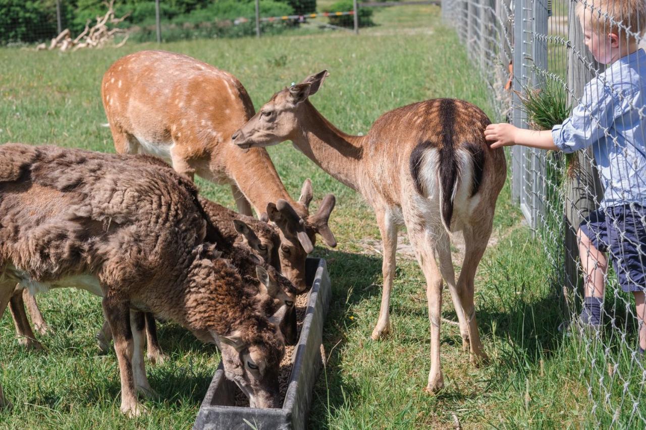 Ostermalma Vandrarhem Nykoping Bagian luar foto