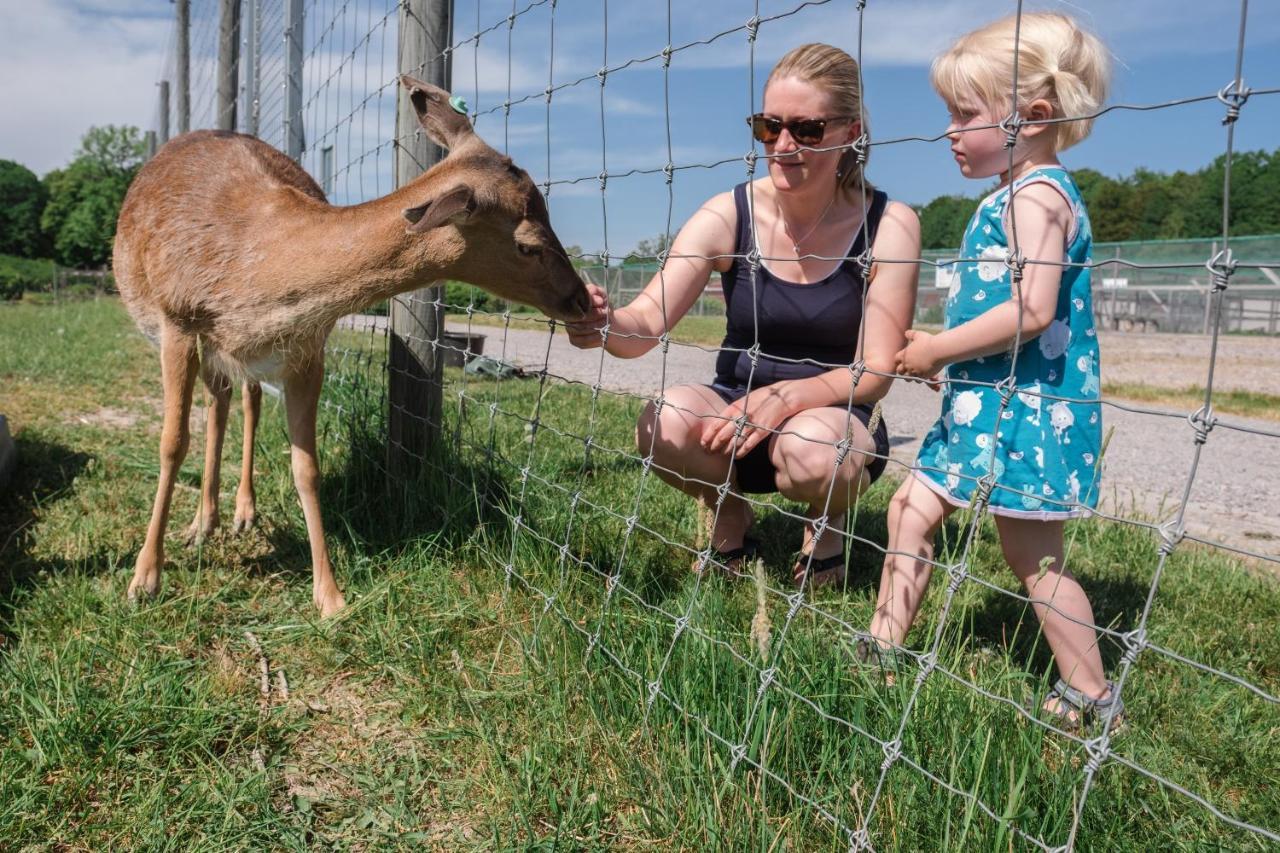 Ostermalma Vandrarhem Nykoping Bagian luar foto